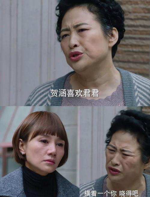 国产岳母,新时代家庭关系的温暖守护者